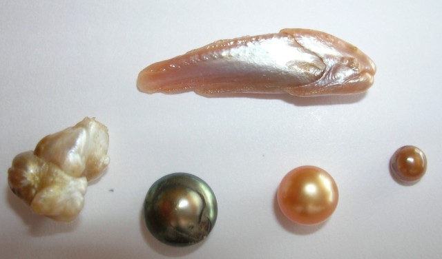 natural-pearl-form-fish
